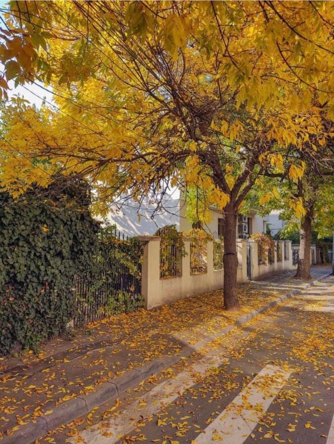 Charming Place Cotroceni 布加勒斯特 外观 照片